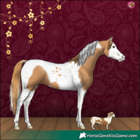Horse Color:Chestnut Splash Tobiano