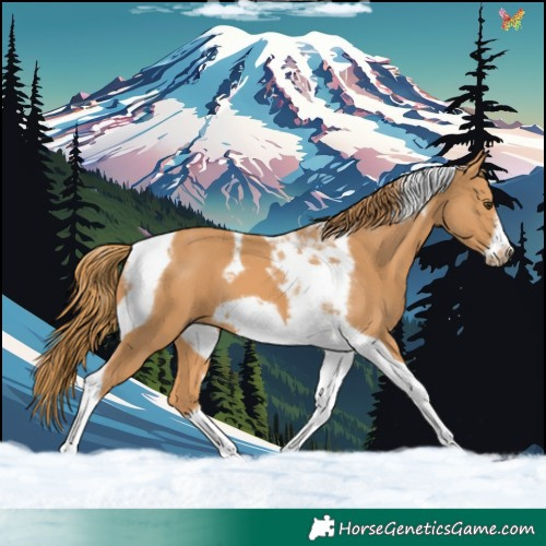 Horse Color:Chestnut Tobiano Frame