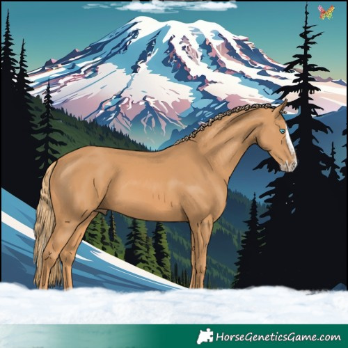 Horse Color:Chestnut Splash