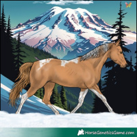 Horse Color:Chestnut Tobiano