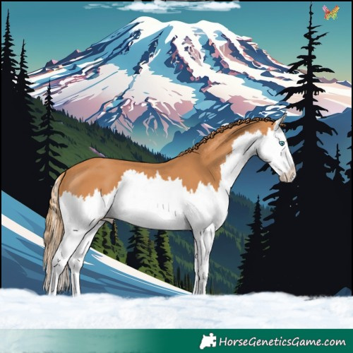 Horse Color:Chestnut Splash