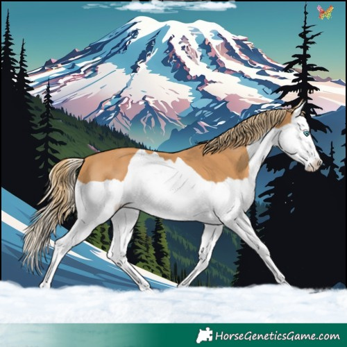 Horse Color:Chestnut Splash 