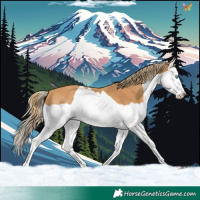 Horse Color:Chestnut Splash