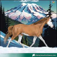 Horse Color:Chestnut Splash