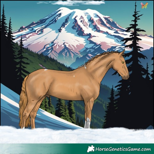 Horse Color:Chestnut Tobiano