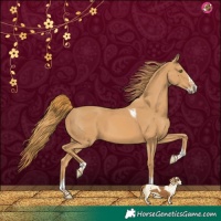 Horse Color:Chestnut Splash Tobiano