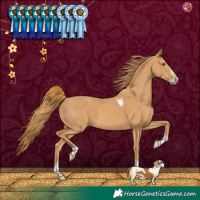 Horse Color:Chestnut Splash Tobiano