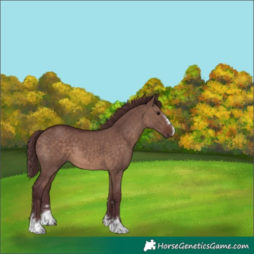 Horse Color:Chocolate Brown Dun Mushroom 