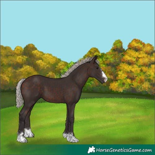 Horse Color:Silver Brown 
