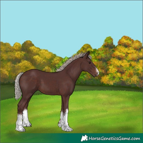 Horse Color:White Spotted Chocolate Silver Brown 