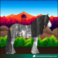 Horse Color:Brown Sabino  and Brown Sabino 