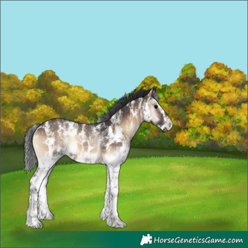 Horse Color:Brown Onyx Sabino 