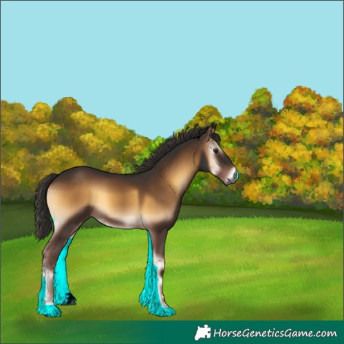 Horse Color:Gray Liver Red Onyx 