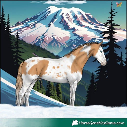 Horse Color:Chestnut Splash Tobiano 