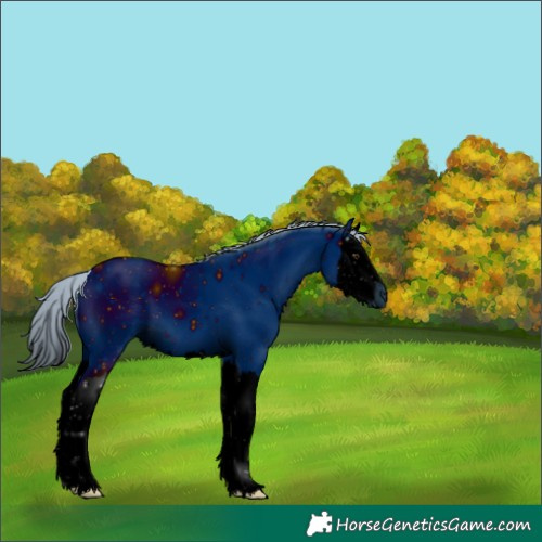 Horse Color:ERROR: UNKNOWN ANOMALY