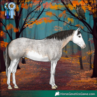 Horse Color:Buckskin Roan Splash