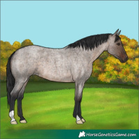 Horse Color:Brown Roan Dun