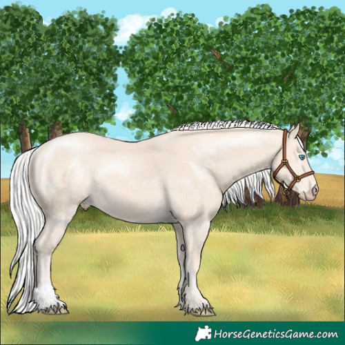 Horse Color:Silver Perlino Rabicano 
