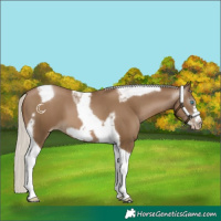 Horse Color:Gray Silver Smoky Black Pearl Tobiano Frame