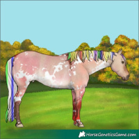 Horse Color:Painted White Spotted Silver Brown Dun Rabicano