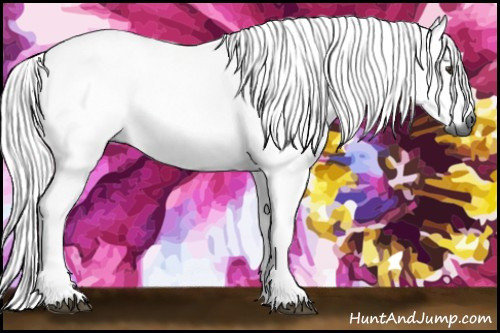 Horse Color:Gray Chestnut