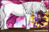 Horse Color:Gray Chestnut