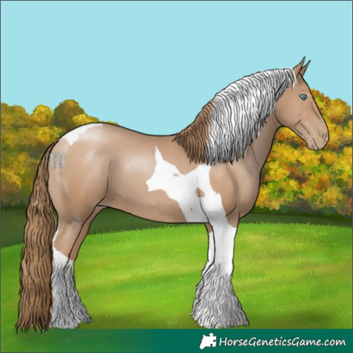 Horse Color:Black Pearl Tobiano 