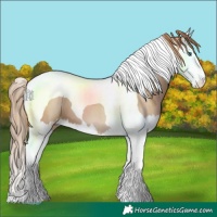 Horse Color:Black Pearl Splash Tobiano 