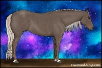 Horse Color:Silver Blue Roan 