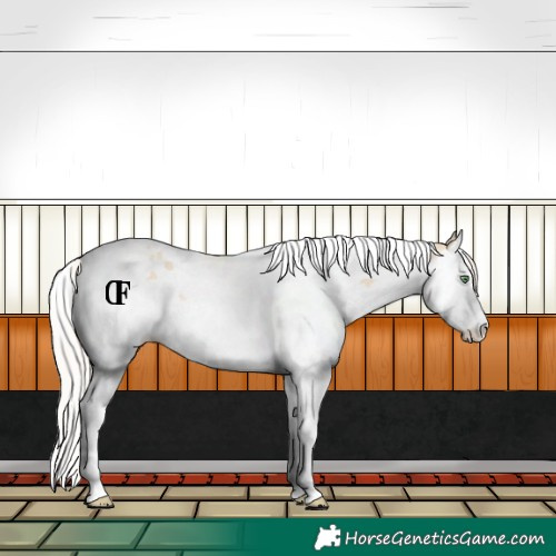 Horse Color:Silver Classic Champagne Dun Sabino Splash Tobiano Rabicano 