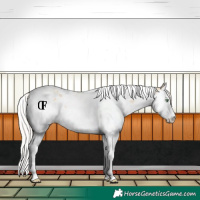 Horse Color:Silver Classic Champagne Dun Sabino Splash Tobiano Rabicano