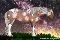 Horse Color:Silver Brown Ice Roan Tobiano Rabicano
