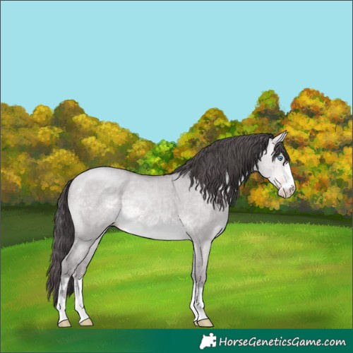 Horse Color:Platinum Sable Cream Champagne Dun 