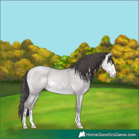 Horse Color:Platinum Sable Cream Champagne Dun 