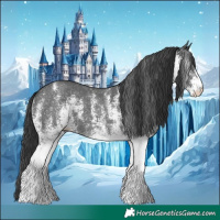 Horse Color:White Spotted Black 
