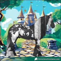 Horse Color:White Spotted Black 