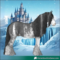 Horse Color:White Spotted Black 
