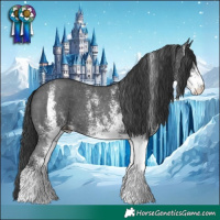 Horse Color:White Spotted Black