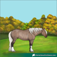 Horse Color:Liver Red Dun Mushroom Rabicano