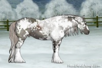 Horse Color:White Spotted Silver Black Ice