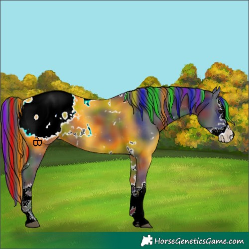 Horse Color:Painted Nacre White Spotted Black Splash Appaloosa