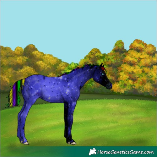 Horse Color:ERROR: UNKNOWN ANOMALY