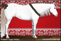 Horse Color:Liver Chestnut Sabino Tobiano Appaloosa