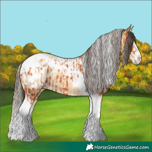 Horse Color:Bay Splash Tobiano Blanket and Buckskin Splash Tobiano Blanket
