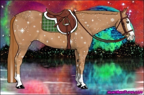 Horse Color:Chestnut Splash 