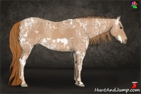 Horse Color:White Spotted Chestnut Ice