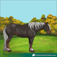 Horse Color:Liver Chestnut Mushroom Tobiano