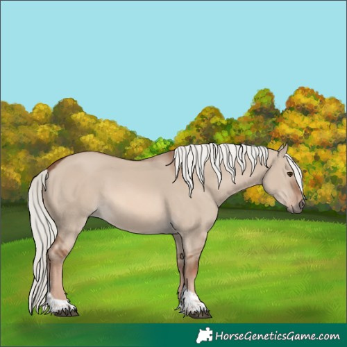 Horse Color:White Spotted Red Dun Mushroom Tobiano Rabicano