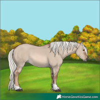 Horse Color:White Spotted Red Dun Mushroom Tobiano Rabicano 