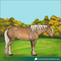 Horse Color:White Spotted Chocolate Palomino Mushroom 